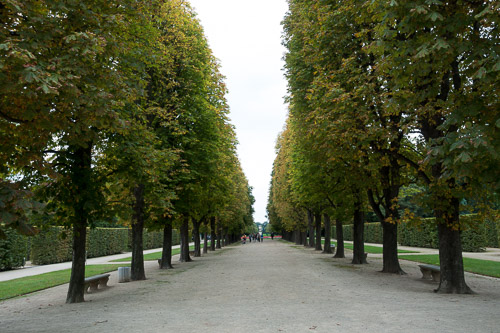 Pillnitz Schlosspark